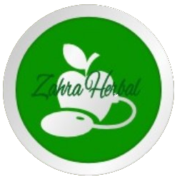 logo-zh